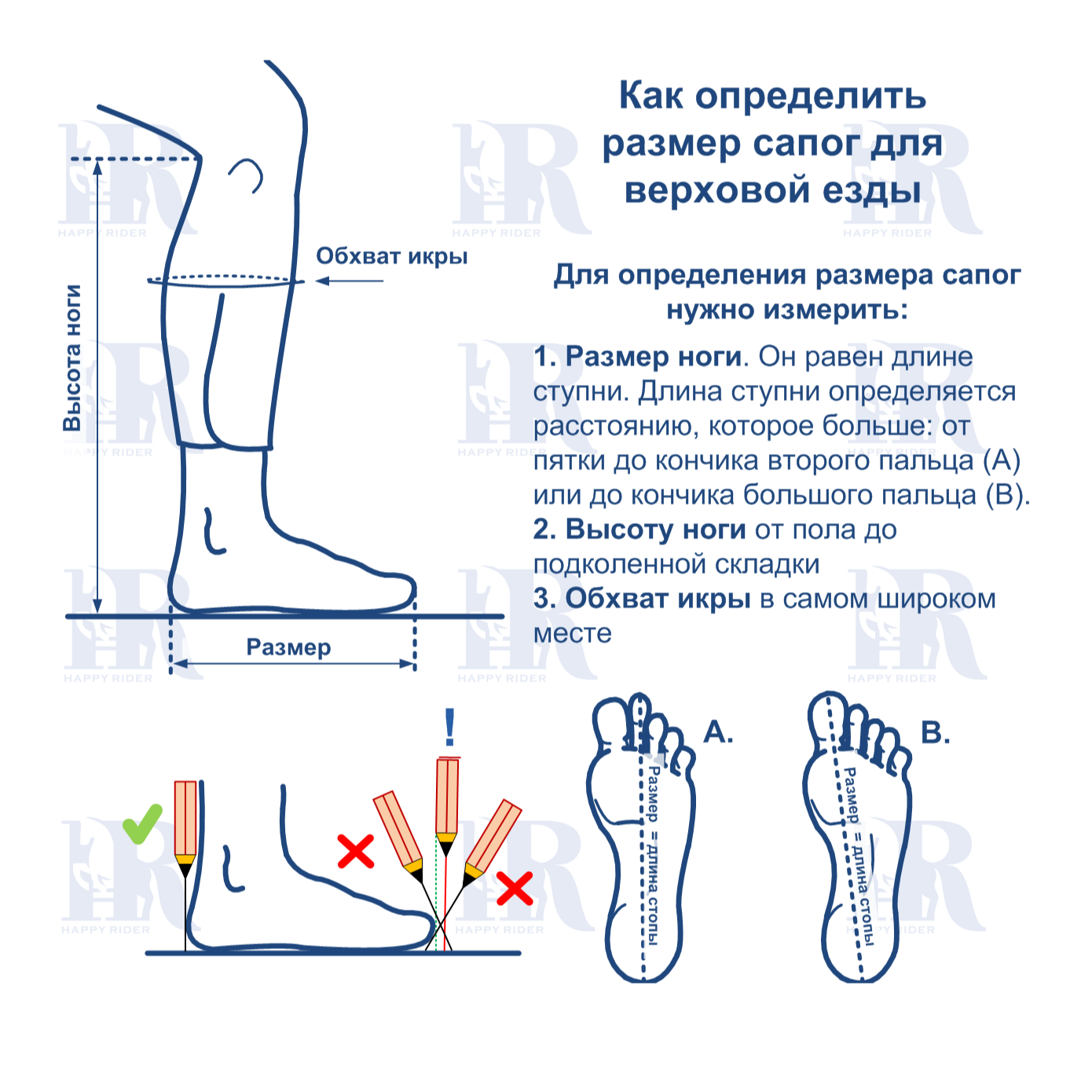 Размеры сапог для верховой езды
